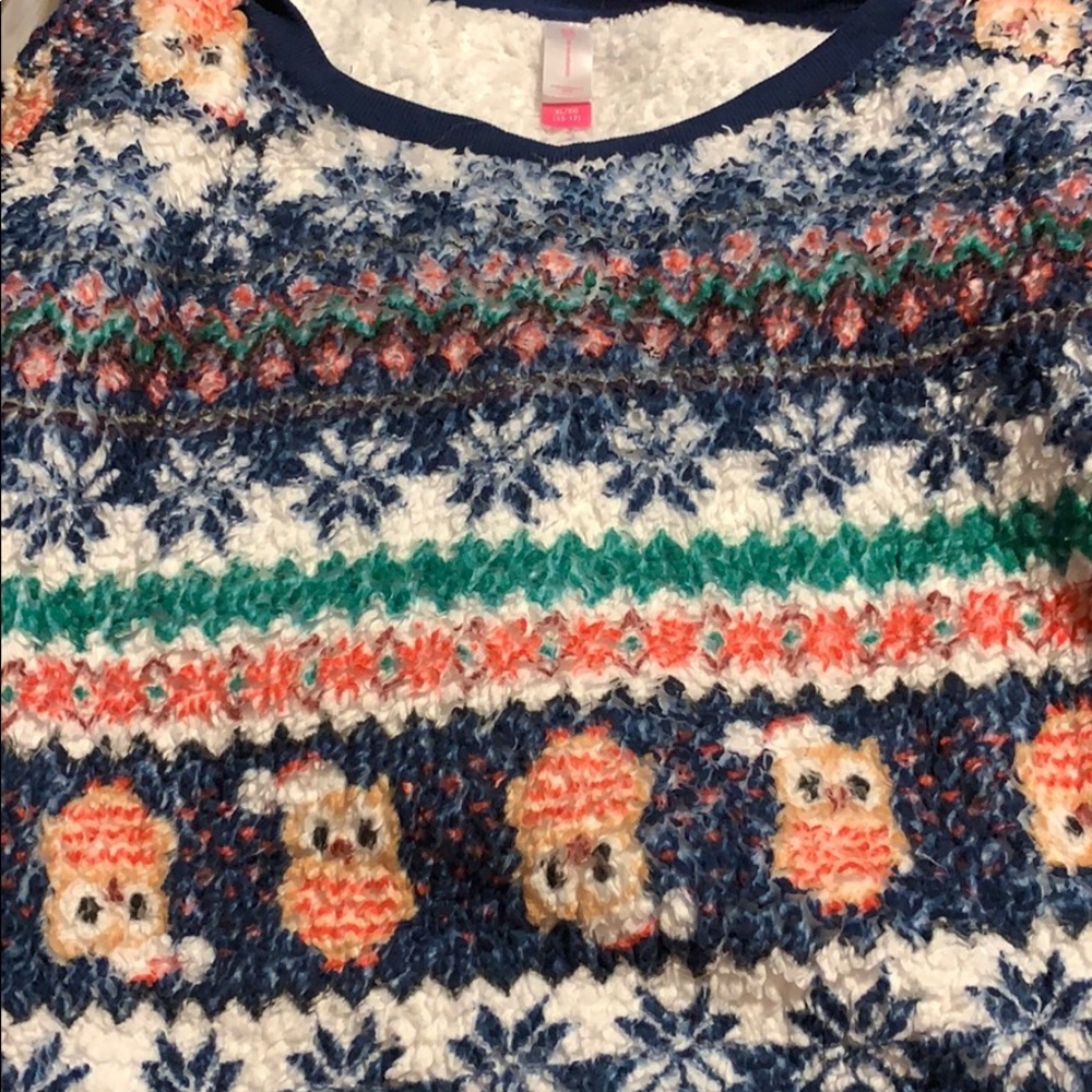 Fizzy owl sweater